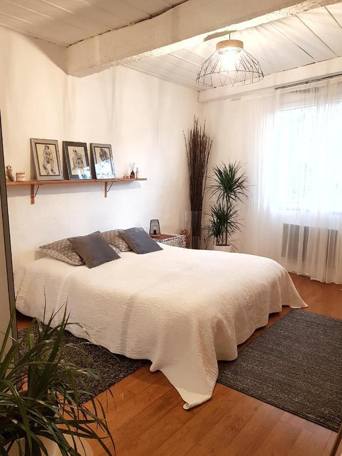 Chambre D Hotes "Lilimyna" Avec Petit Dejeuner Баржоль Екстер'єр фото